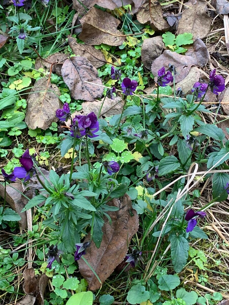 Просто моё фото