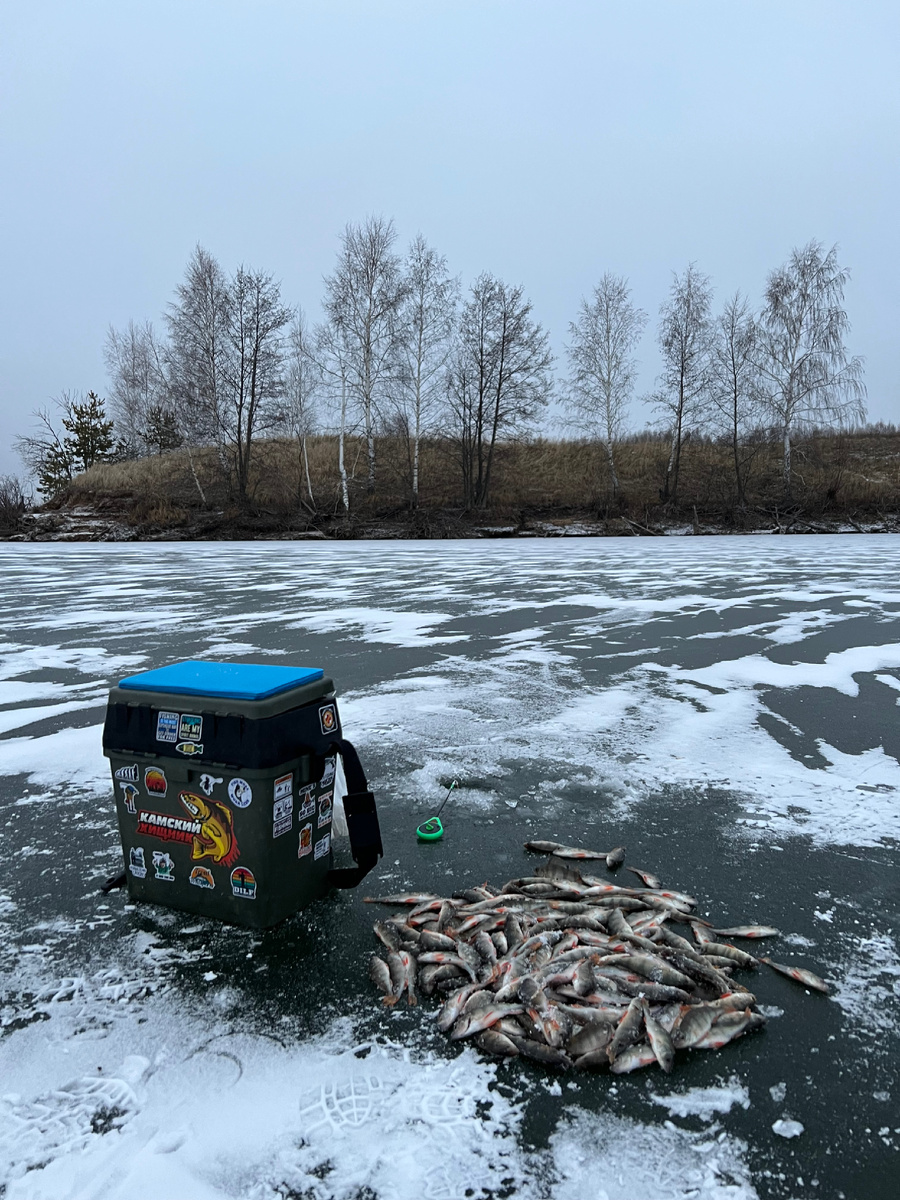 28.11.2024 открытие сезона подледной рыбалки в прошлом сезоне 