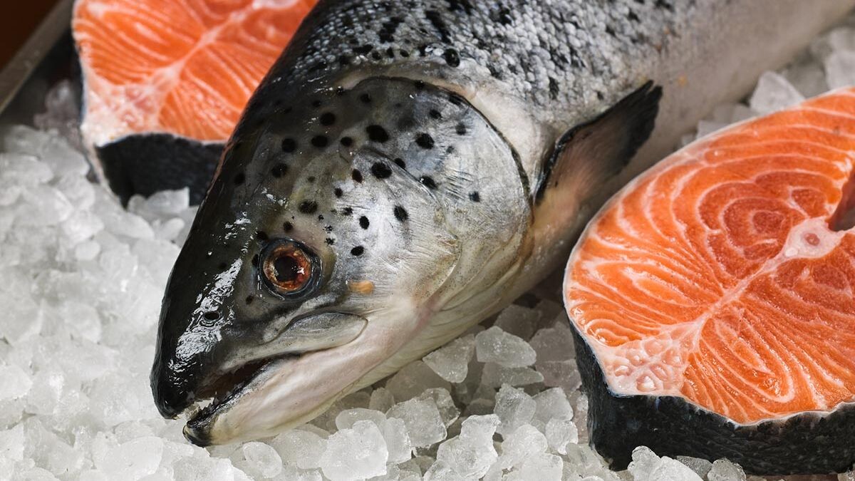     Источник: fish-express.ru