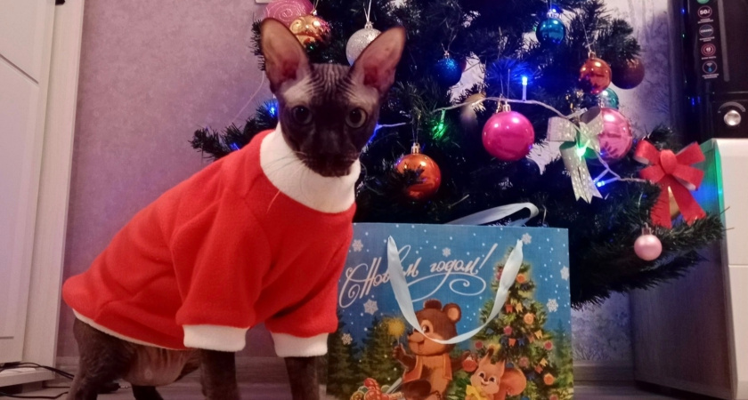    Фото из архива "ПроГорода"