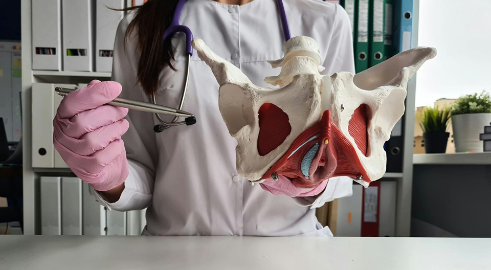 Проблемы у женщин и мужчин с тазовым дном