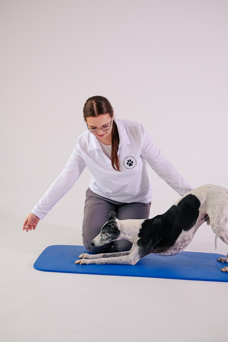 Фитнес для собак