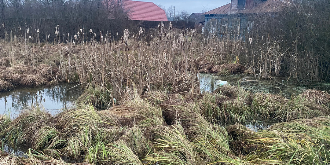 День начался со штрафа, а вечер закончился обвинениями в мошенничестве. Будни курьера