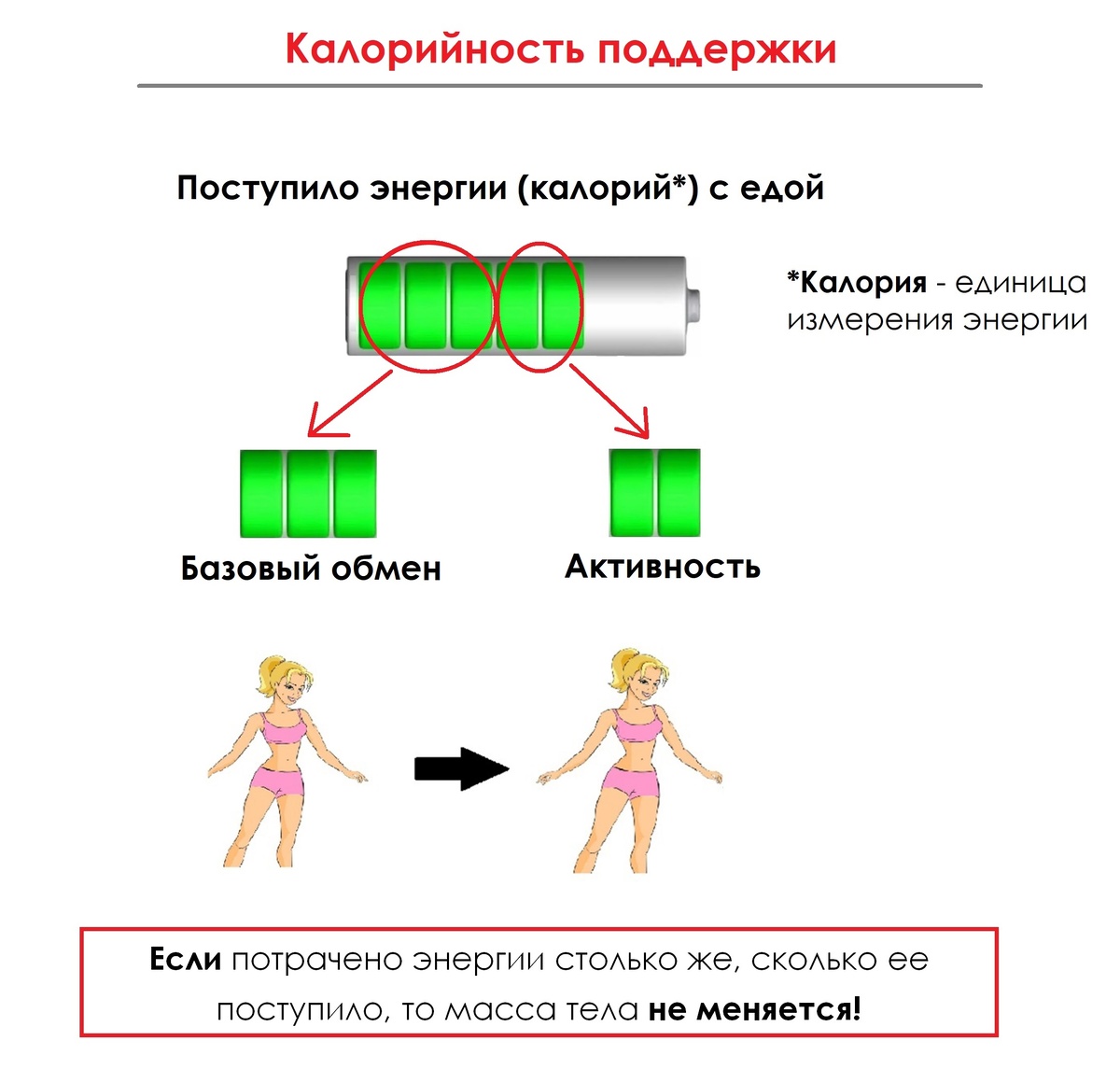 Поддержка (калорийность поддержки)