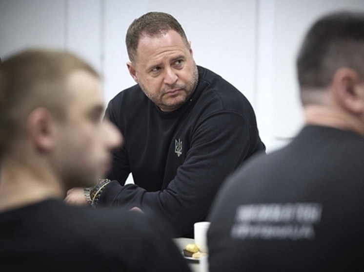     Фото: Handout/Ukrainian Presidential/Global Look Press