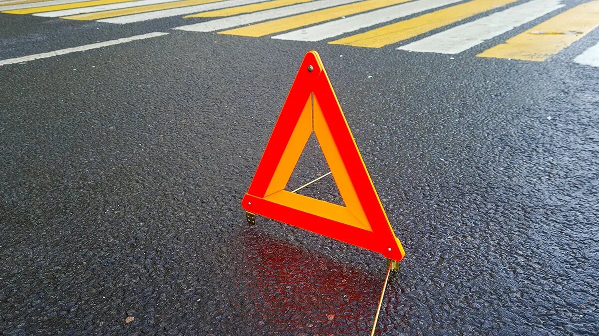    Фото: vm.ru Павел Евсеев