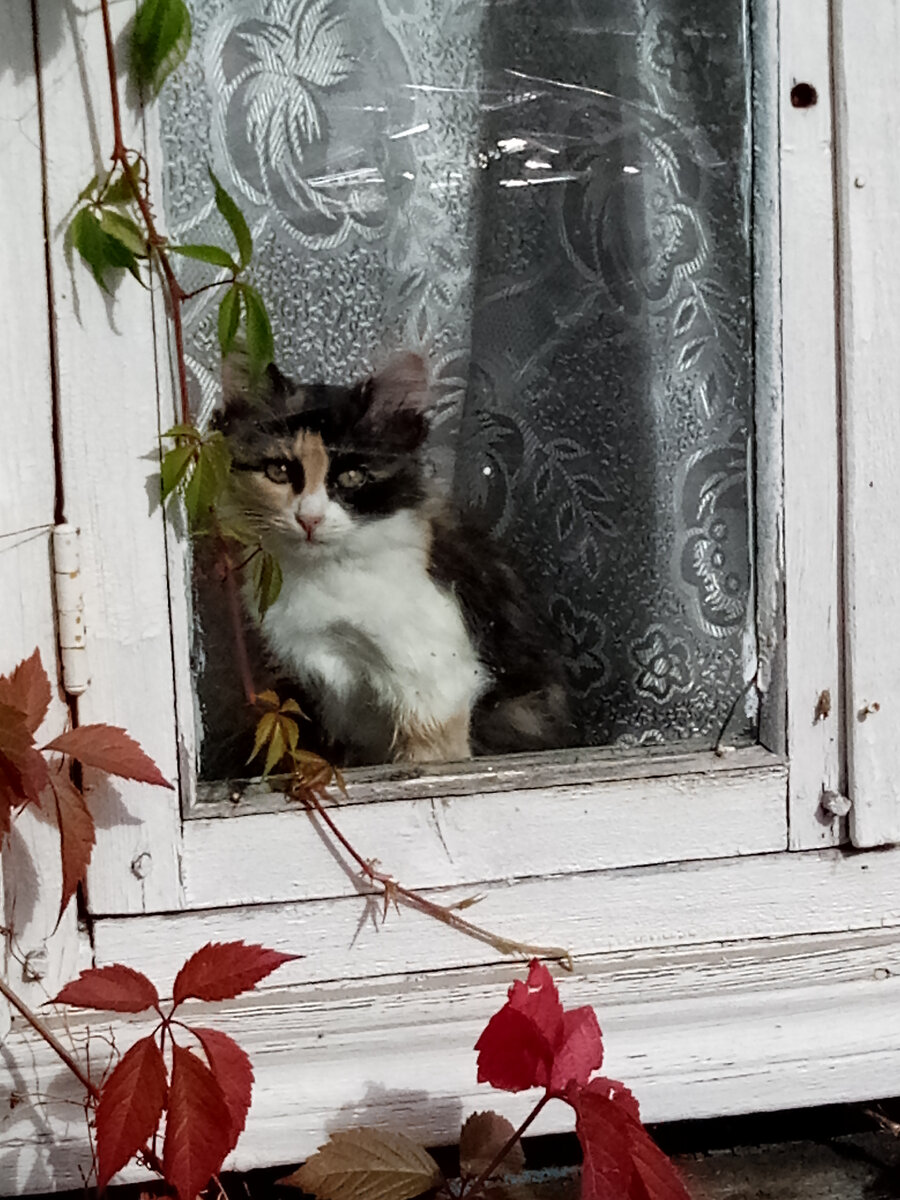 Вот такая она была "гоняха". Фото автора