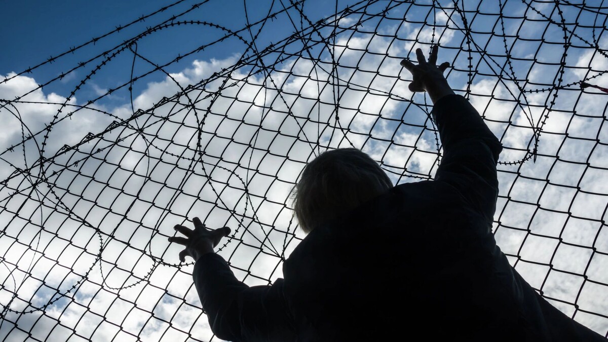    Фото: Michael Wick/Shutterstock/Fotodom