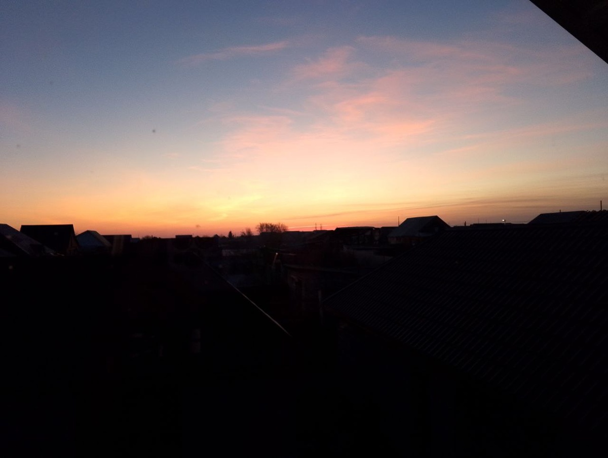 Фото сделано младшим сыном. 