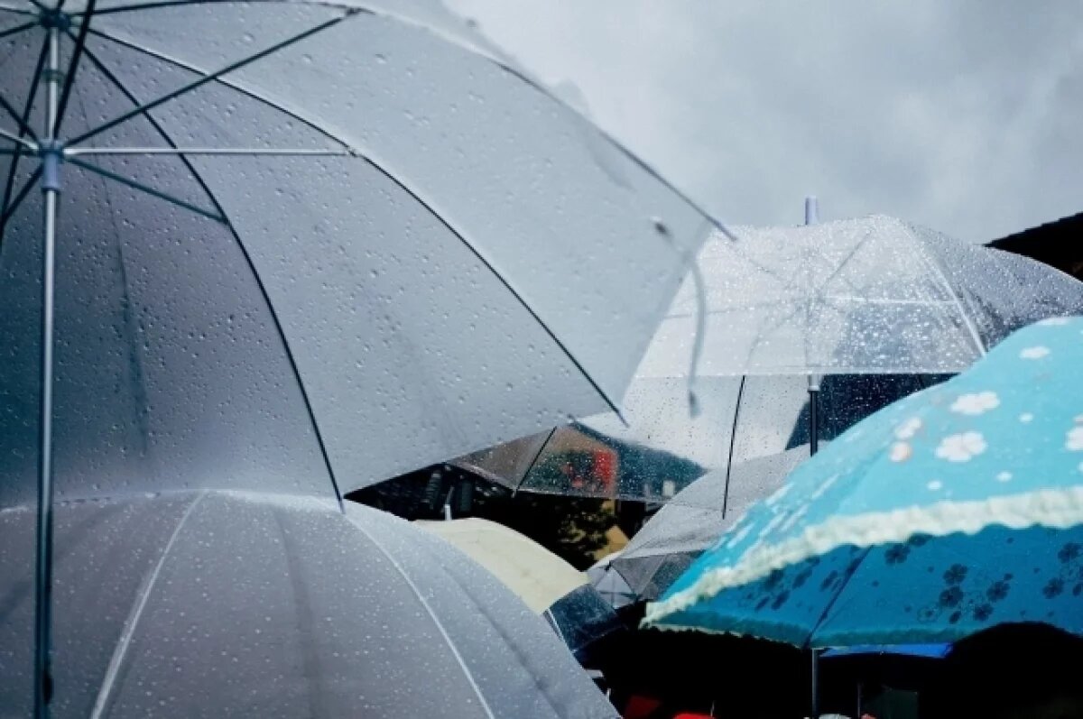    Синоптики рассказали, чего ждать тольяттинцам в выходные