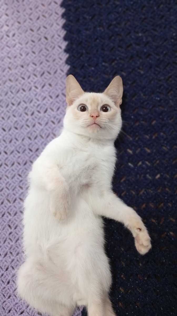 Фото из личного архива