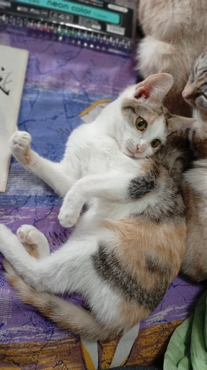 Фото из личного архива