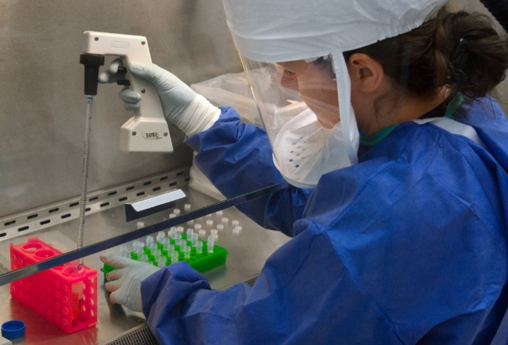 фото: pxhere.com