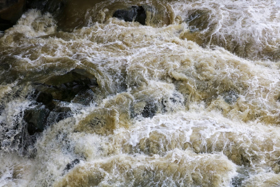    Shutterstock/FOTODOM