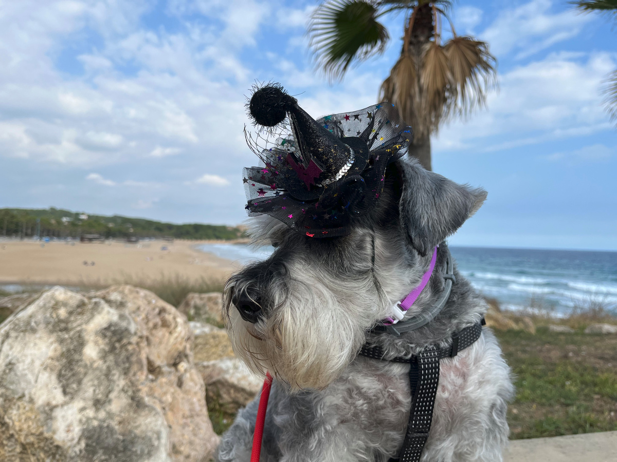 Наша Ника 💕