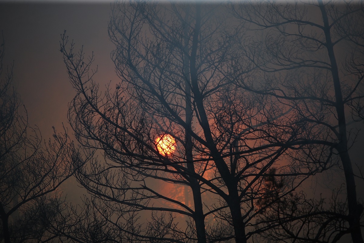 © Фото: ИД «Волгоградская правда» / архив