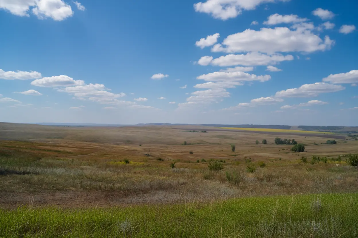 Медведицкая гряда летом