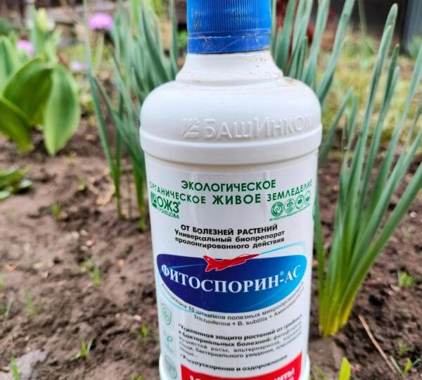 Технология АС-35