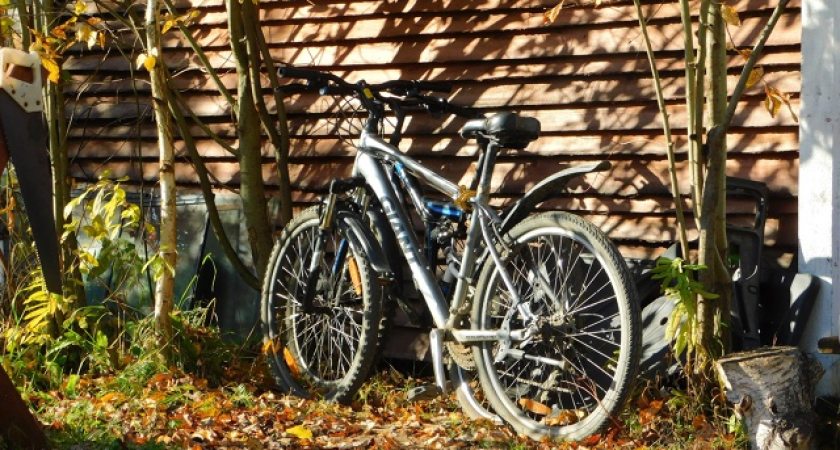    Фото Вячеслава Вольгина