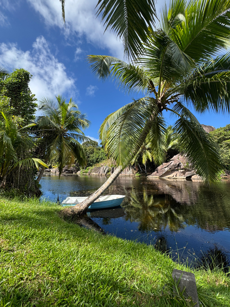 Помимо морского побережья в отеле есть вот такая лагуна. Невозможно уютная . Со своей флорой и фауной, отличной от морской. 