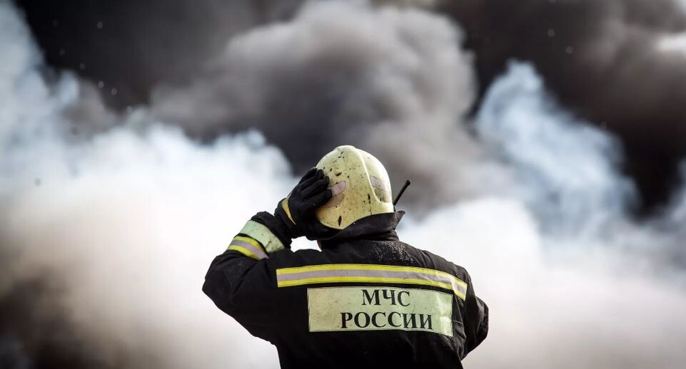    РИА «Новости»