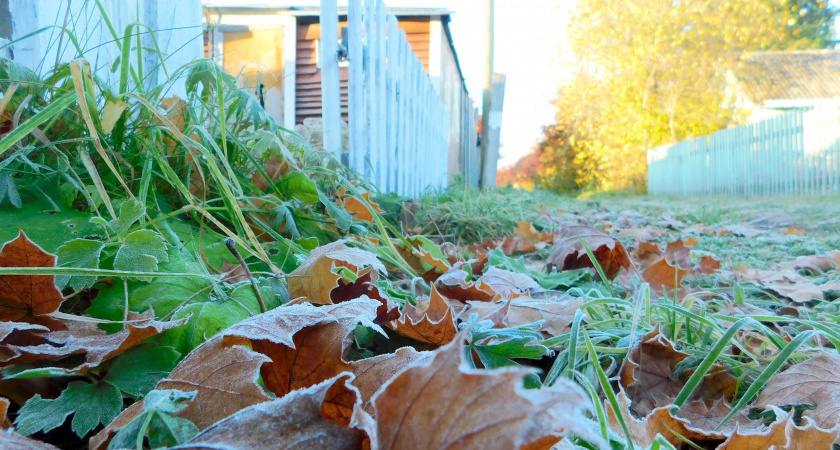    Фото из архива нашей редакции
