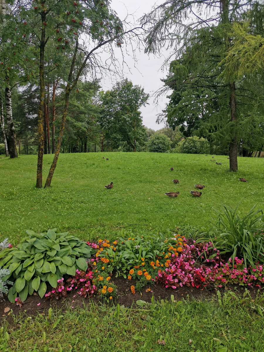 Дендропарк