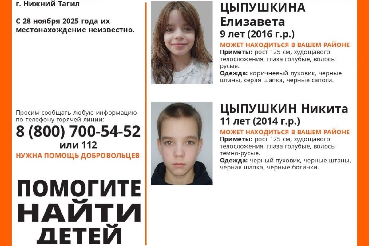    Фото: ВК-сообщество «Поисковый отряд «ЛизаАлерт» Свердловской области»