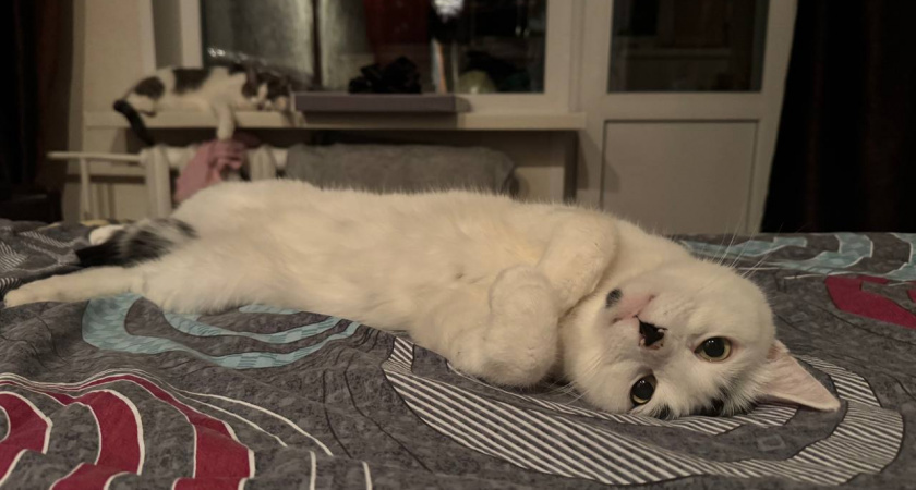    Автор фото - Анна Ефимова