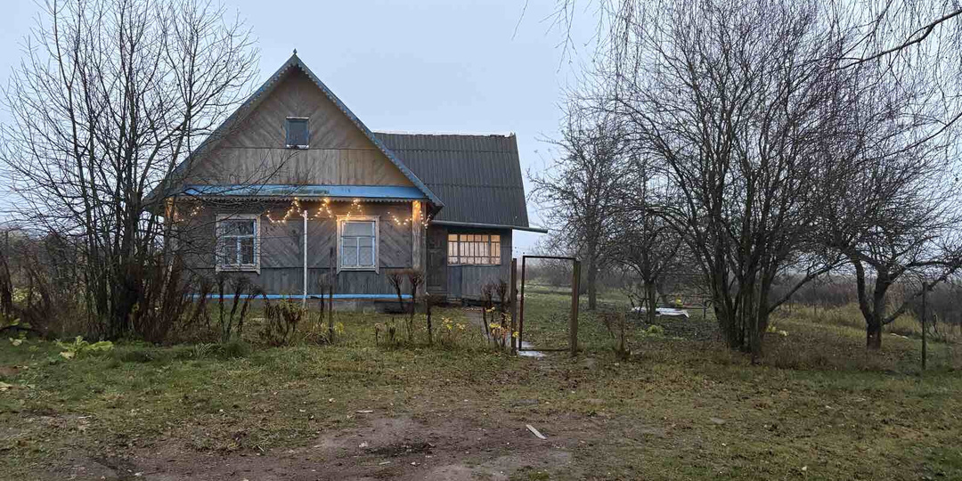 До 30 тысяч долларов. Дома возле Минска с газом, водой, баней и на берегу Свислочи