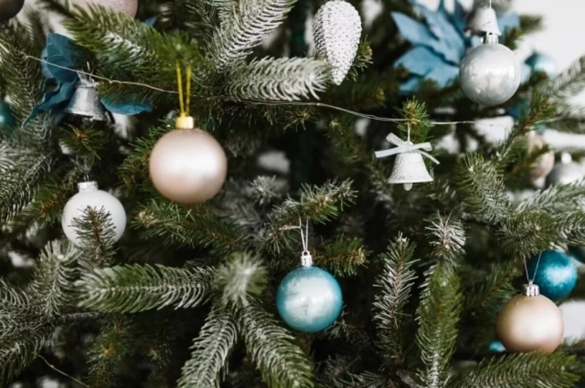    «Лучшая ёлка Кузбасса» появилась в регионе, но не выдержала критики