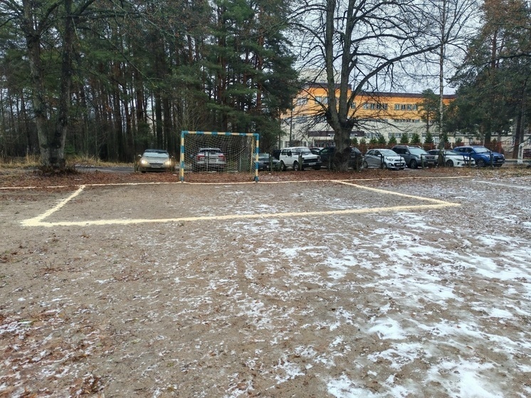     Фото: телеграм-канал Александра Соклакова.