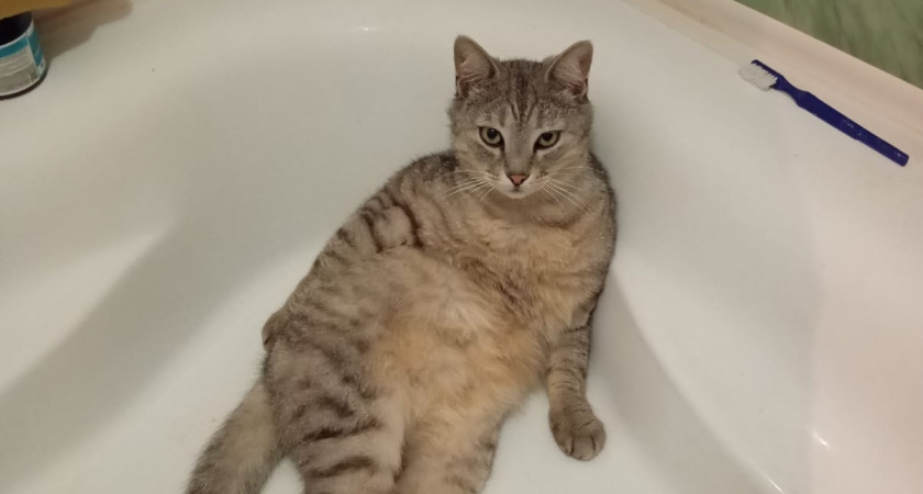    Фото irkutsk.news