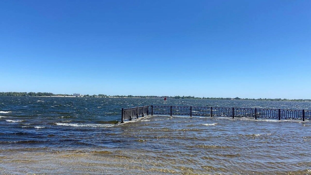    Фото: телеканал «Краснодар»