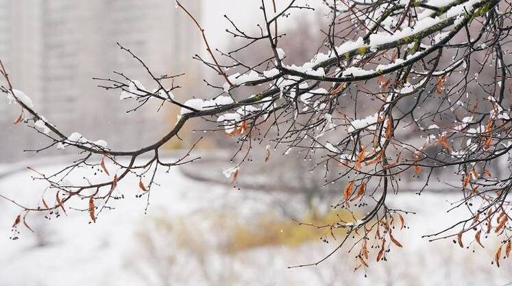    Евгений Самарин/mos.ru