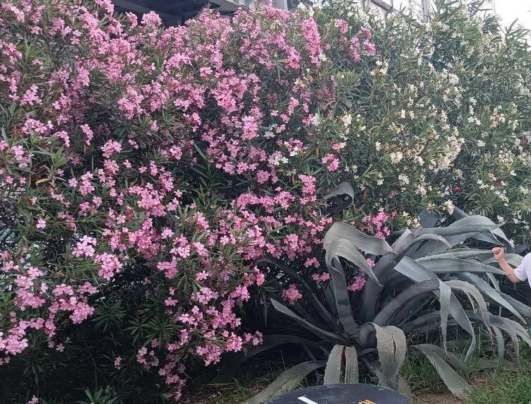 Если каждое утро ты смотришь в зеркало и видишь «подушечки» под глазами - это не про возраст. Это про образ жизни. И да, можно выглядеть иначе.