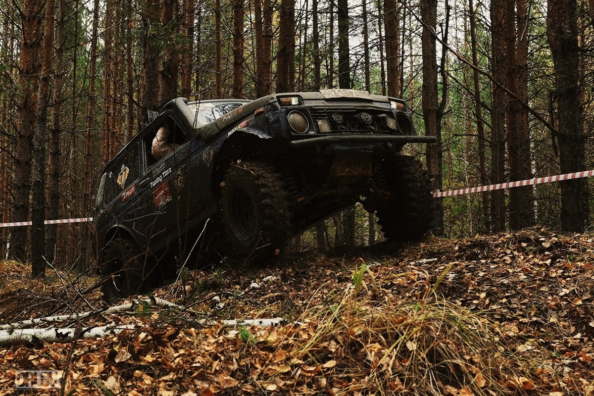    Фото: Наталья Пасеко