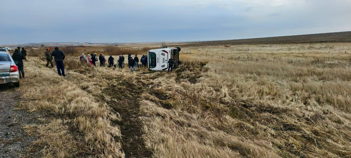     Госавтоинспекция Челябинской области