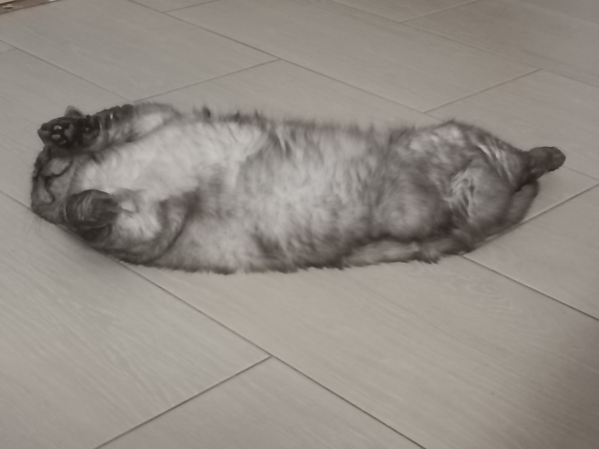 Батонище отдыхательное😍