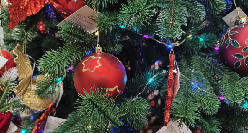    Фото: Первый городской канал Калининград