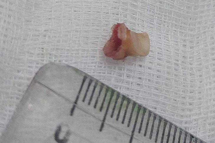    Фото минздрава Новосибирской области