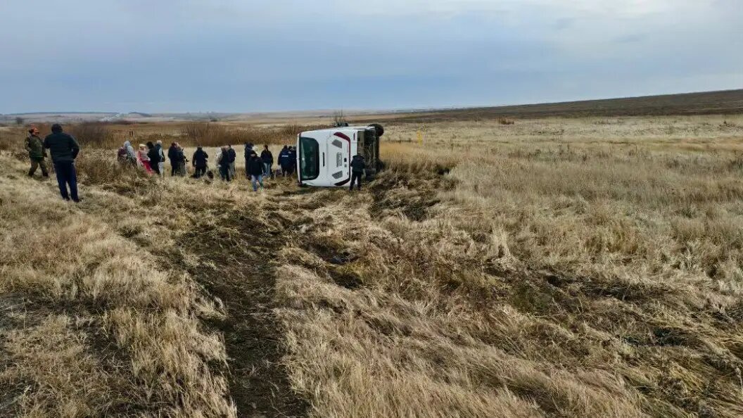    Госавтоинспекция Челябинской области
