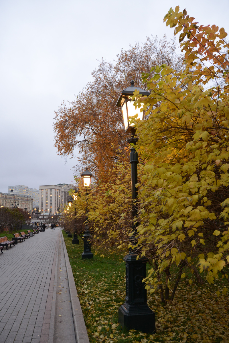 Осень в Александровском Саду. Фото автора канала "Приключения Тома Сойера".