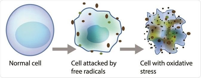Цепная реакция