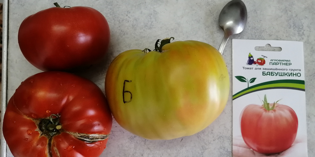 Каталог семян томатов от агрофирм 2021