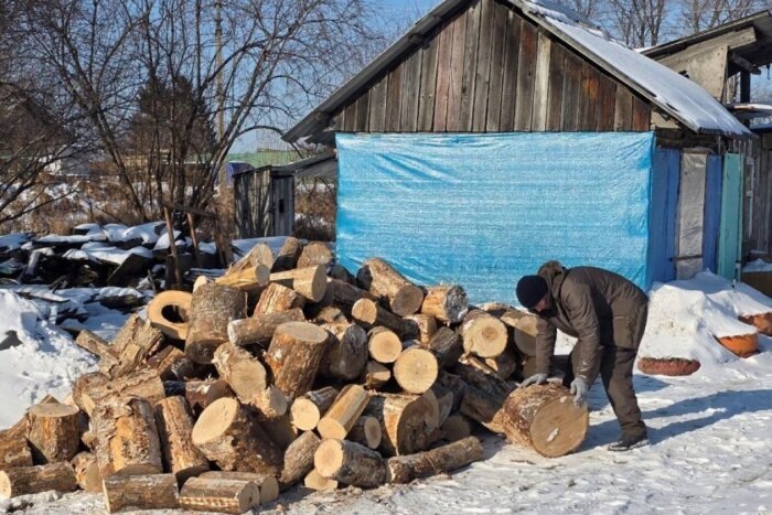 Сосновые дрова для зимы не самый лучший вариант, но дарённому коню в зубы не смотрят / Фото: пресс-служба правительства ЕАО