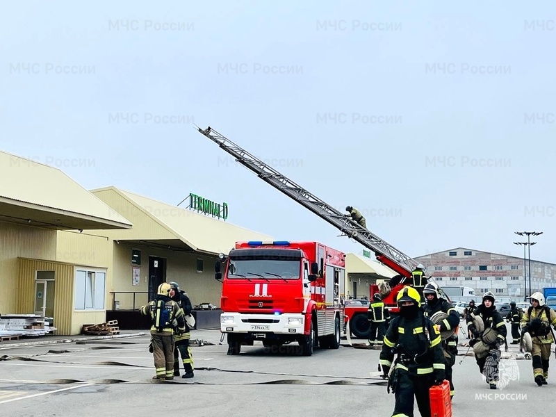    Фото: 58.mchs.gov.ru