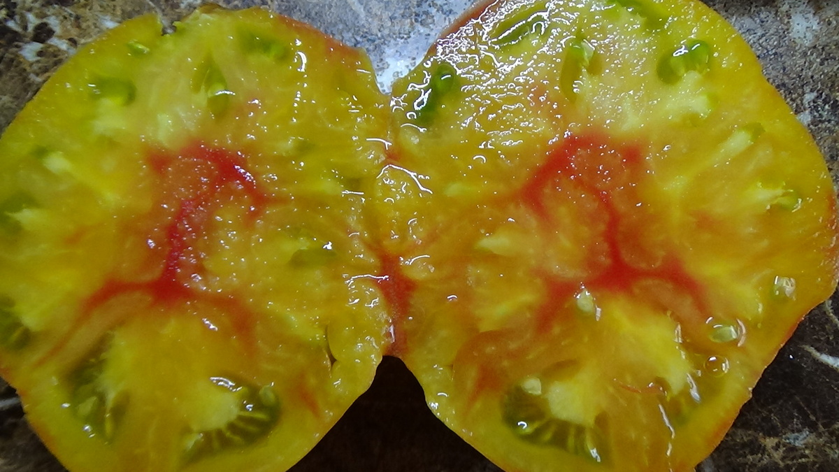 Томатный Гном Розелла БИ- колор. №900-26 в моем Каталоге.