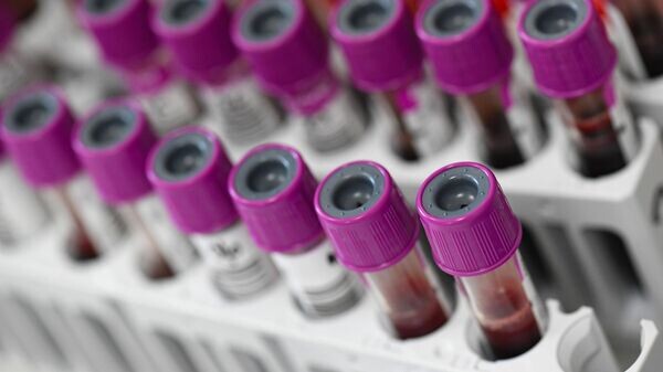    © Sputnik / Сергей Пятаков