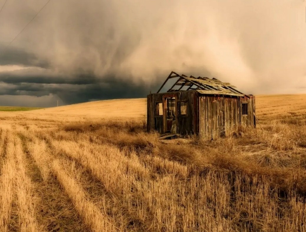 Россия: главные причины почему растут цены на хлеб. Фото из Яндекс картинки